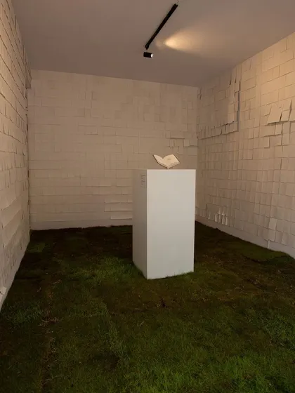An art installation transforming our studio into an immersive experience with grass-covered floors and paper-lined walls. The space is a blank canvas, perfect for artists who want to create unique, thought-provoking exhibitions and installations.