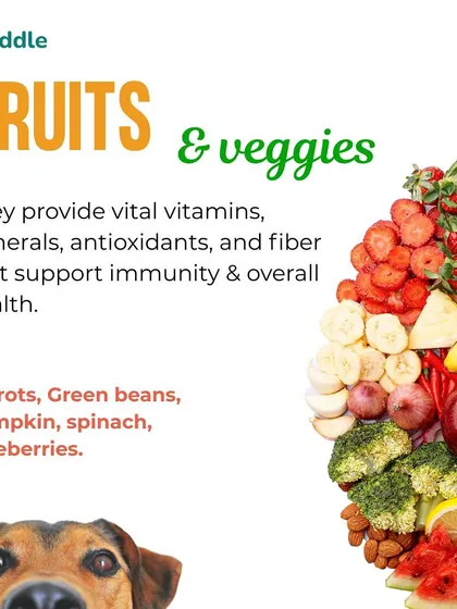 Don't forget the fruits and veggies. This graphic showcases safe options like carrots, pumpkin, and blueberries that provide essential vitamins, fiber, and antioxidants to support your dog's overall health and immunity.