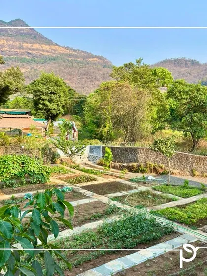 Imagine plucking organic food straight from your own yard. We practice 'foodscaping', where we beautifully integrate edible kitchen gardens and orchards into your landscape design, proving that functional can also be beautiful.