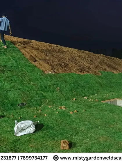The lawn installation in progress, showing the contrast between the prepared soil and the newly laid green turf.
