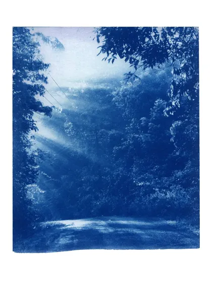 Beyond portraits, I create fine art prints using alternative techniques like this cyanotype. The process uses sunlight to produce stunning, deep blue images, capturing scenes with a dreamy, painterly quality.