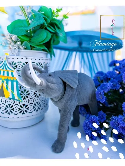 A repeat of the elephant prop detail shot.