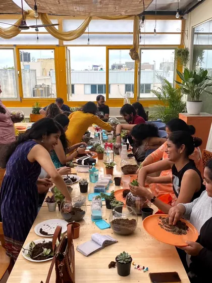A busy and happy scene from a terrarium workshop. It's a fantastic social activity where you can chat, learn, and get creative alongside others.