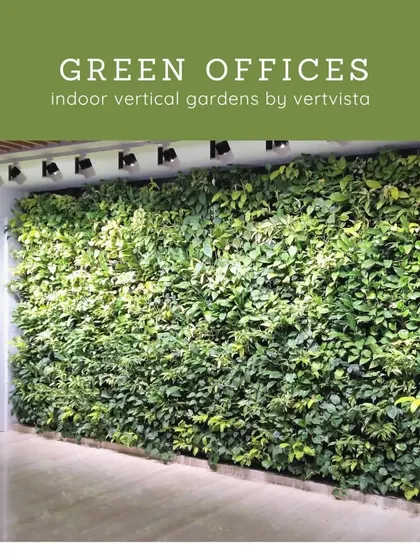 As offices reopen, we help companies create healthier and more inviting workspaces. This lush indoor vertical garden is a perfect example of how we make offices greener to boost employee wellbeing and productivity.