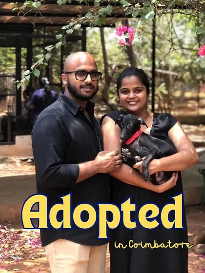 A couple smiles for the camera with their newly adopted puppy in Coimbatore. Choosing to adopt an indie dog saves a life and gives a deserving animal a second chance.
