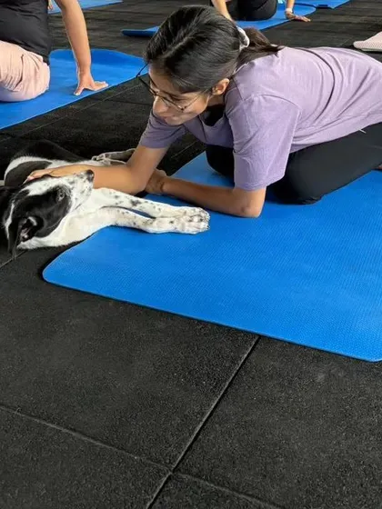 This little pup decided that savasana was the best pose of all. It was a wonderful day of relaxation and puppy love.
