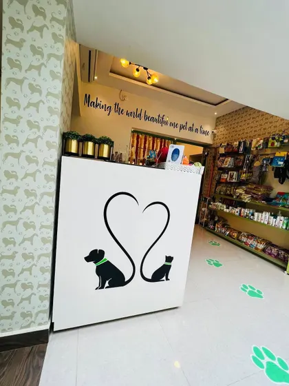 Our reception desk, where all the pampering begins. The paw prints on the floor lead the way to a great grooming experience.