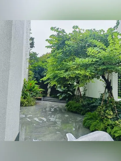 A quiet corner of a building exterior where a polished stone walkway is surrounded by dense tropical foliage. A vertical garden wall adds another layer of green, transforming a simple passage into a garden experience.