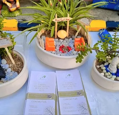 A few of my miniature garden designs on display at a local event. Each one tells a different story, from a tiny campsite to a peaceful zen retreat.