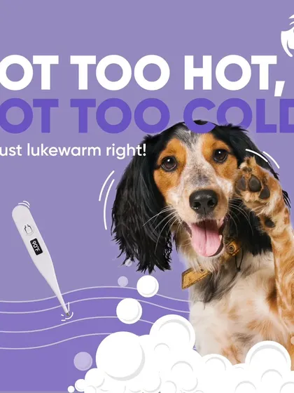 Your pet's comfort is my priority. I always use lukewarm water, the ideal temperature for a safe and pleasant bath. This happy dog knows that bath time with me is a comfortable and enjoyable experience.