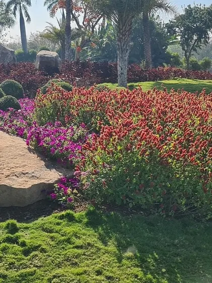 A beautiful example of landscape design using mass plantings for impact. The red and purple flower beds create bold swathes of color, contrasted by natural rock features and manicured green lawns.