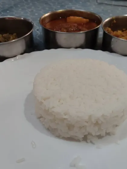A closer look at the components of my non-veg meal. You can see the perfectly cooked mound of rice ready to be served with the accompanying curries, all made fresh to order.