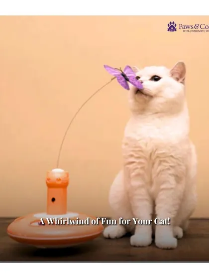 The NALA Butterfly Teazer is a whirlwind of fun for your cat. This image shows a cat captivated by the fluttering butterfly, a toy designed to engage their natural pouncing and hunting instincts.