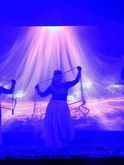 An ethereal performance using veils and dramatic lighting. This shows how we can create different moods, from high-energy to artistic, for a corporate event.