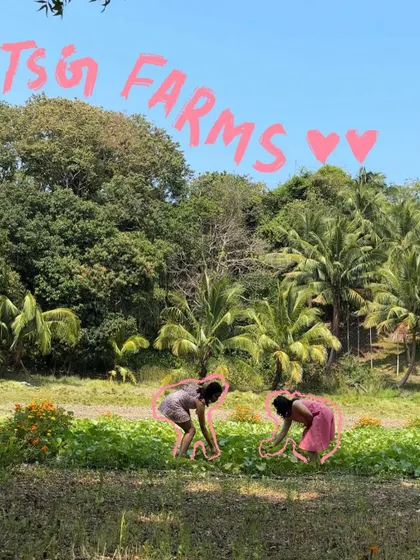 The resort has its own farms. I highlighted the women working there with a pink outline to appreciate the local culture.
