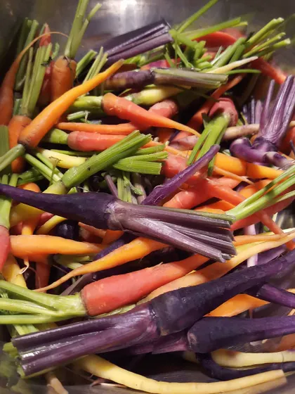 We build our menus from the best ingredients. This bowl of vibrant, multi-colored heirloom carrots is an example of the fresh, exotic, and high-quality produce we source for our events.