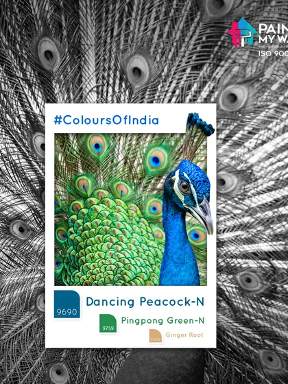 As part of my #ColoursOfIndia series, I pay homage to our nation's rich culture. From the vibrant feathers of the peacock to the architectural splendor of Hawa Mahal, I draw inspiration from India's beauty.