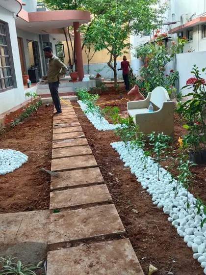 A work-in-progress shot of a backyard renovation, showing my team arranging plants and hardscaping elements according to the design plan.