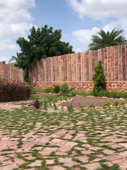 Another view of the Jodhpur project, showing how the stone wall and patterned ground create a strong visual texture. The plants are still young here, and they will gradually soften the space and add more character as they mature.