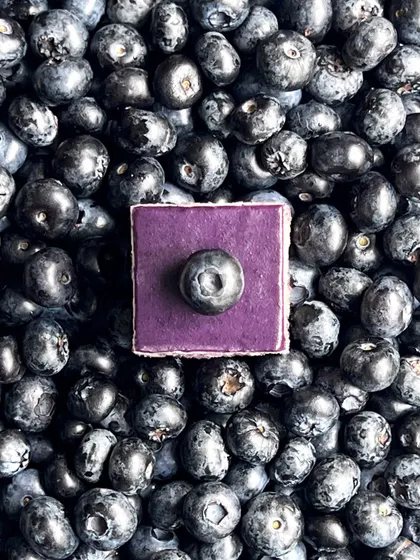 An artistic shot of my blueberry opera gateau. I love playing with food photography to show how beautiful ingredients can be. The single cake square sits like a jewel among a sea of fresh blueberries.