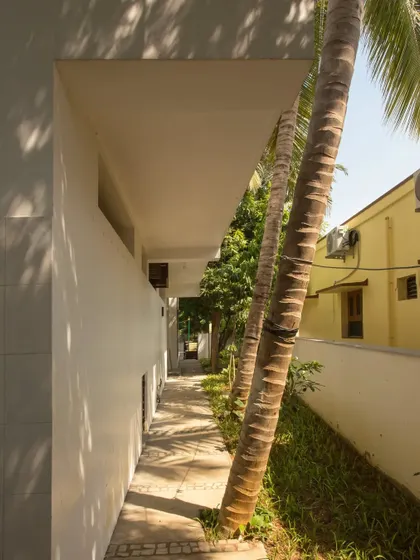 The narrow passage beside the house, showing how we worked with the existing site constraints, including the mature palm trees that were preserved.