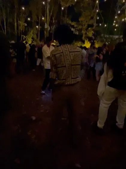 A duplicate of the crowd dancing shot at Echoes of Earth.