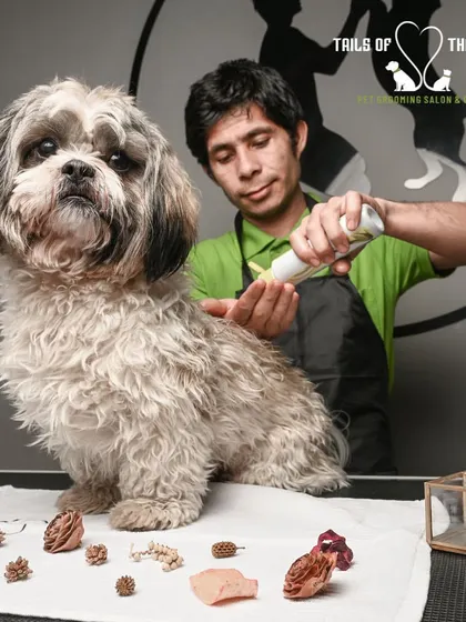 Our groomer carefully applies a tick and flea treatment. We are meticulous in our application to ensure every part of your pet's coat is covered.