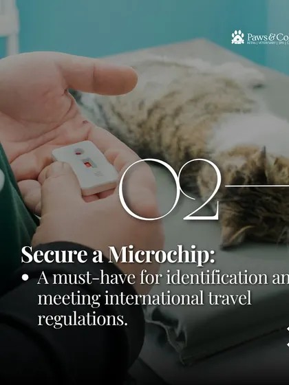 A microchip is a must-have for identification and meeting international travel regulations. This simple procedure is one of the first things we arrange for your pet's relocation journey.