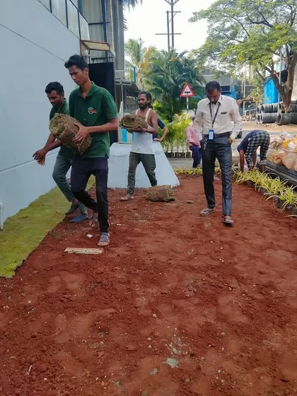 Team Hortiscape carrying rolls of fresh turf, ready for installation. We source high-quality, healthy sod to give our clients' lawns the best possible start.
