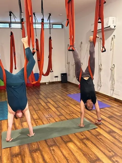 Our internationally certified YTTC covers advanced styles including Aerial Yoga. Here, students practice inversions.