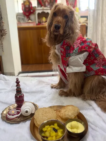 Posto with his special Noboborsho meal, complete with luchi and alur dom.