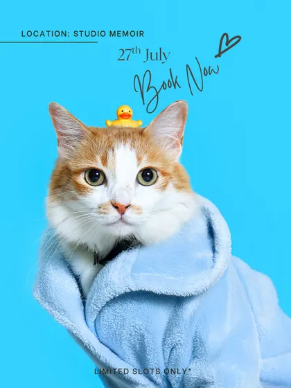 Cats can get in on the bath time fun too! This gorgeous ginger and white cat looks so cozy in his blue robe, ready for his close-up. These sessions are perfect for creating cute photos to hang in your bathroom.