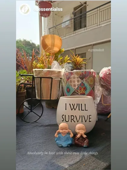 Appreciation takes you a long way. Thank you to our client for this lovely post about our planters and decor items.
