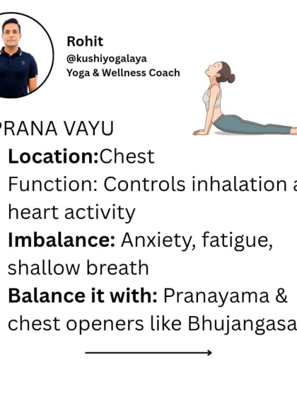 The first is Prana Vayu, located in the chest. It controls inhalation and heart activity. An imbalance can cause anxiety and shallow breath, which we balance with pranayama and chest openers.