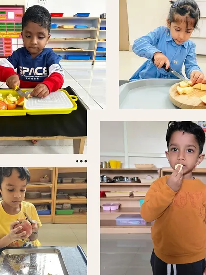 From a whole apple to perfectly cut slices, this child is engaged in a complete and satisfying work cycle. Using child-safe tools, he builds confidence and practical skills, experiencing the joy of preparing his own healthy snack from start to finish.