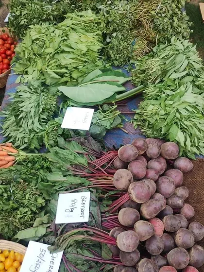 A vibrant collection of winter greens and root vegetables, including beetroot, *arbi patta*, and various *saag*.
