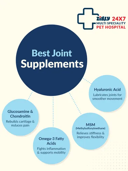 To support your dog's joints, I recommend supplements containing Glucosamine, Omega-3s, and Hyaluronic Acid to reduce pain and improve mobility.