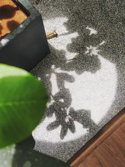 A simple, poetic moment where light from an oculus projects the shadow of a Plumeria plant. For me, design is about capturing these small, beautiful interactions between light, nature, and form.