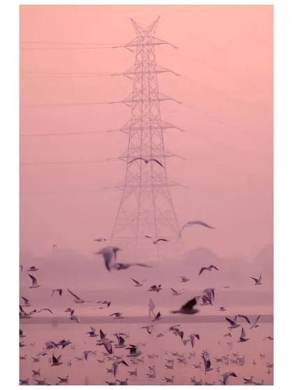 A flock of birds flies in front of a massive electricity pylon at the Yamuna Ghat. The pinkish hue of the sky creates a surreal and beautiful color palette.