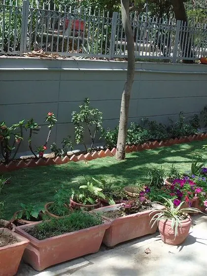 A recently completed backyard garden project. This small garden patch is filled with a variety of flowering plants and perennials, adding color and life to the space.