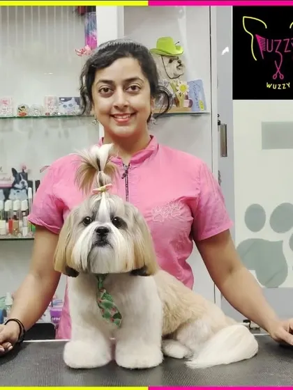 "Antenna Boy" is showing off his fun and stylish summer haircut. This Shih Tzu look is both practical for the heat and full of personality.