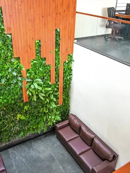 This high-angle view shows how our custom green wall at Amsha Ventures integrates into the multi-level office architecture. The installation provides a natural, calming view for the workspace on the upper floor, enhancing the overall office environment.