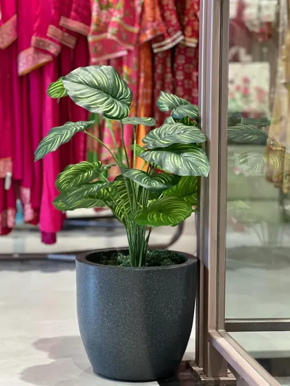 This artificial plant is placed in a retail setting, providing consistent, year-round greenery that enhances the shopping experience without requiring any attention from staff.