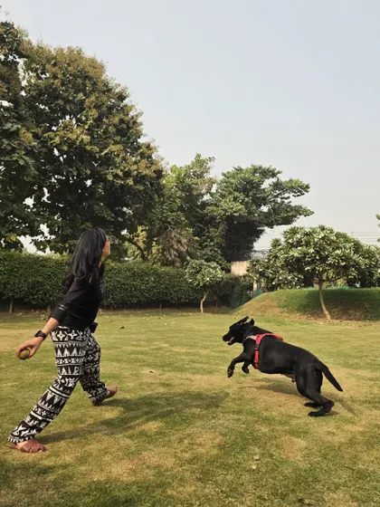 A guest playing fetch with Dilawar, a black Labrador. This kind of one-on-one interaction is crucial for building a dog's confidence and trust in people.