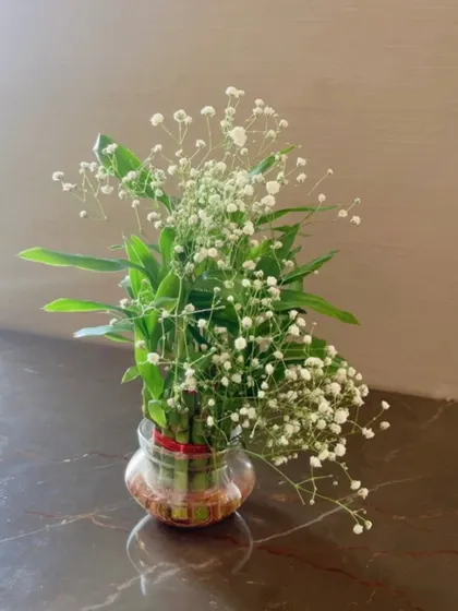 A minimalist arrangement of lucky bamboo and baby's breath in a small glass bowl, adding a touch of green and freshness to the table.