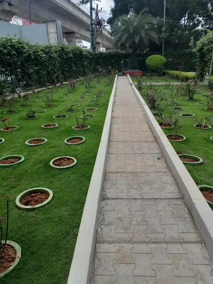 A formal garden path made of interlocking paver blocks, running through a lawn with a grid of rose bushes. This design is suitable for public parks or community gardens in residential developments.