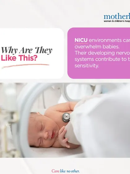 The NICU environment, with its lights and sounds, can be overwhelming for a premature baby's developing nervous system. This sensitivity is why we practice gentle handling and create a calm, quiet environment to support their growth.