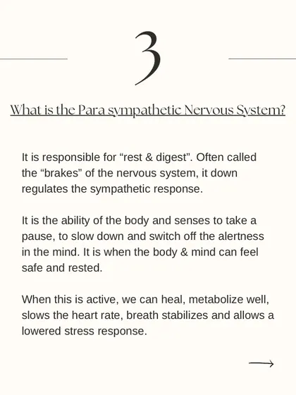 This slide explains the Parasympathetic Nervous System, our "rest and digest" mode. Yogic practices like gentle flows and breathwork activate this system, promoting healing and calm.