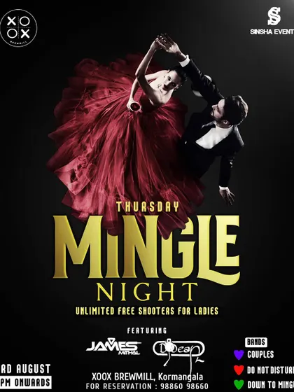 Another "Mingle Night" poster with a different aesthetic. These events are designed to help people connect in a fun, low-pressure party environment.