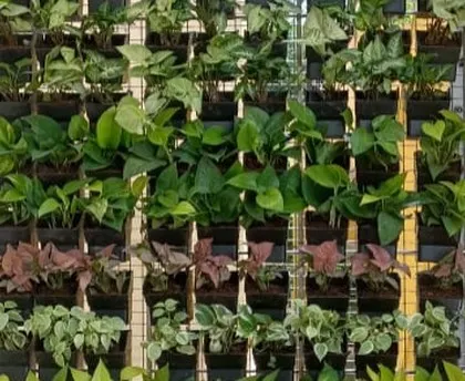 This is a modular vertical garden panel, showcasing a mix of indoor plants. We help you select low-maintenance varieties that thrive in your specific lighting conditions.
